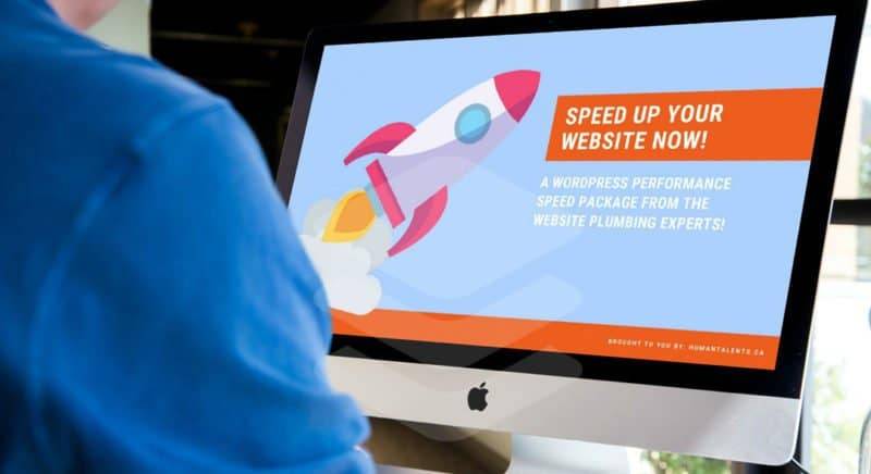 WordPress performance speed service, to speed up your website loading